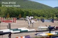 Dorset, VT - Summer Festival Horse Shows - White Horse turning